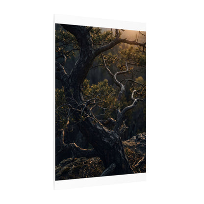 Moody Pine Tree Canvas Art - Moody Minimal Dark Japandi