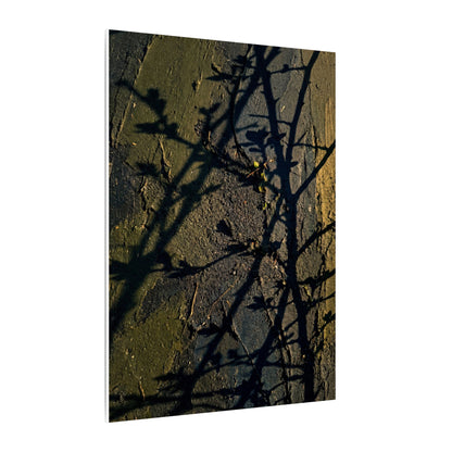 Kanso Shadow Play Canvas Art - Dark Japandi Dark Texture