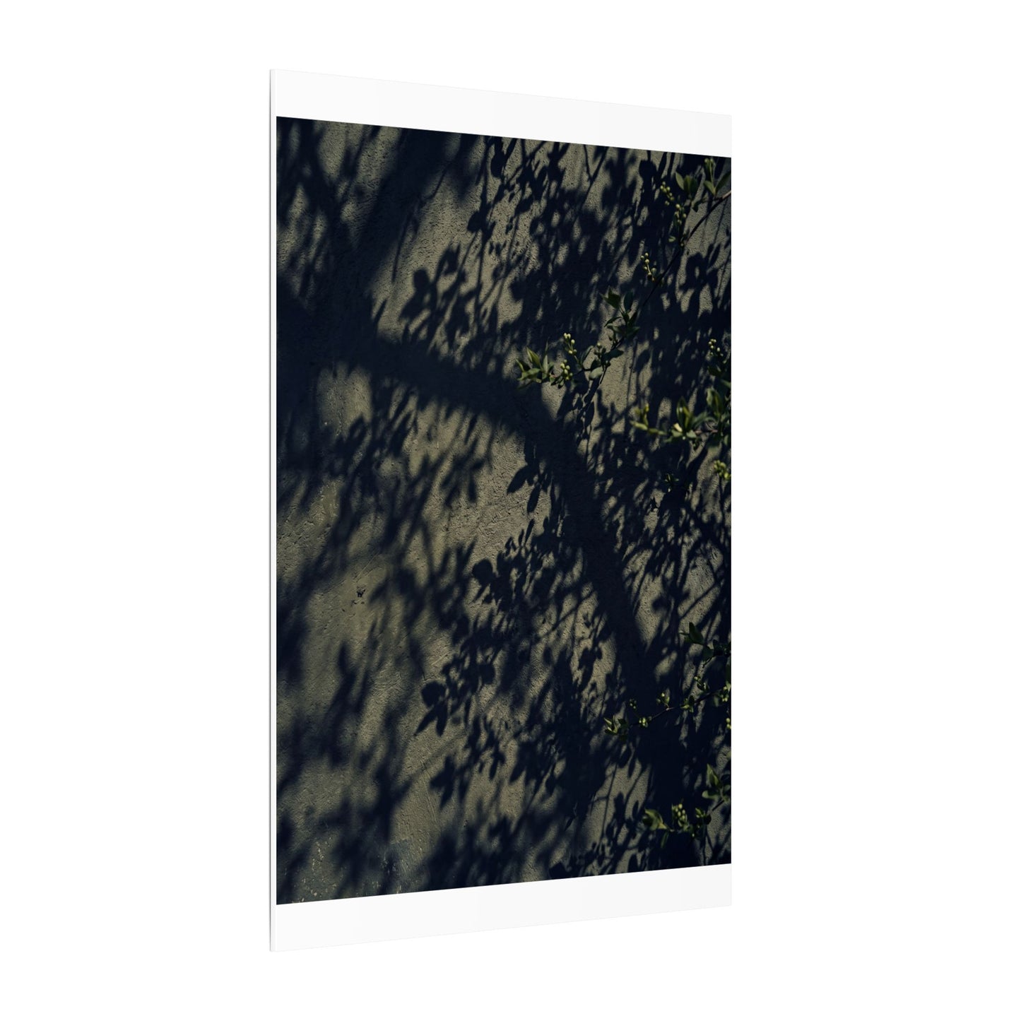 Atmospheric Shadow Play Canvas Art - Moody Minimal Dark Japandi