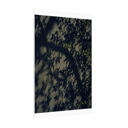 Atmospheric Shadow Play Canvas Art - Moody Minimal Dark Japandi