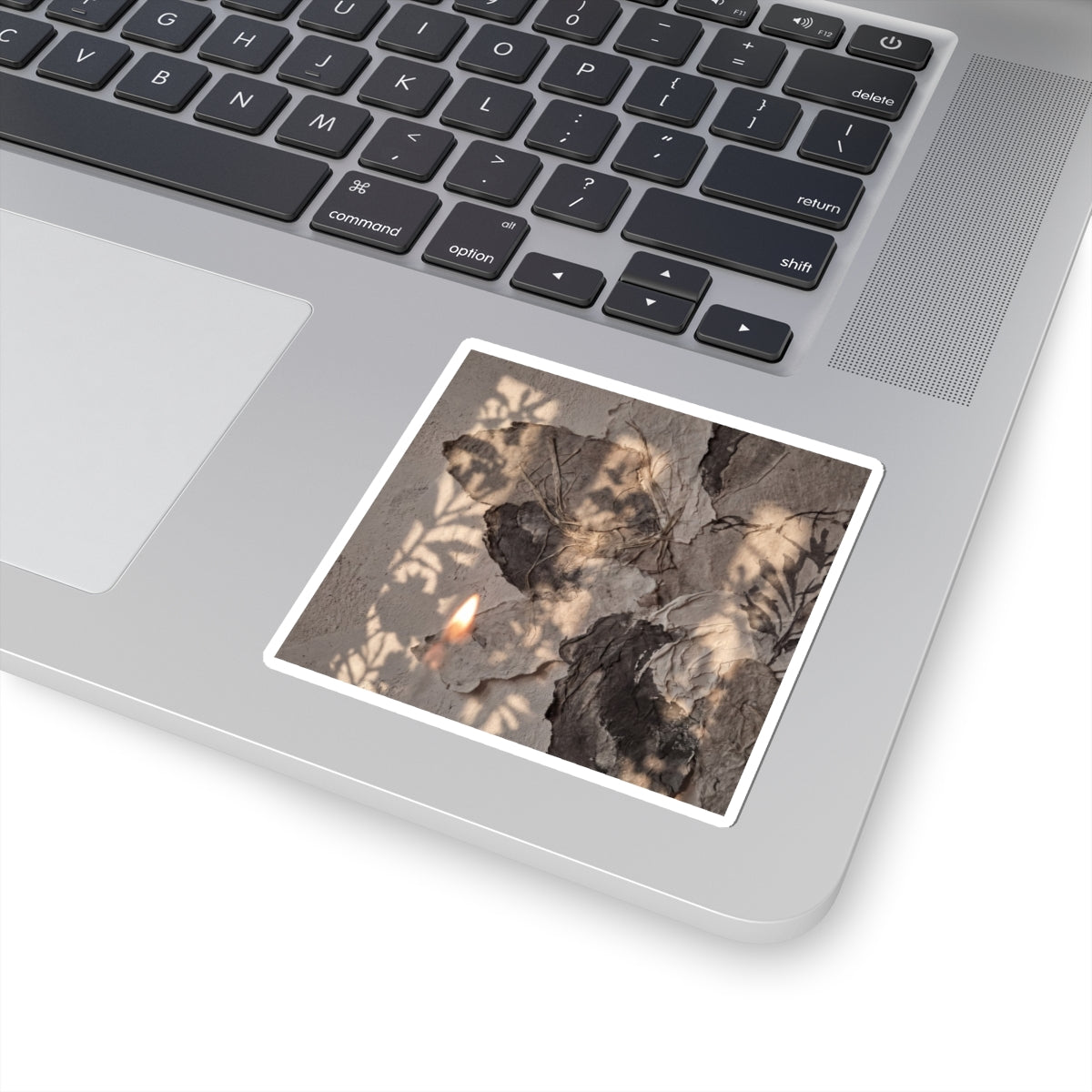 Shadow Play Summer Sticker | Japandi Neutral Design Art Print