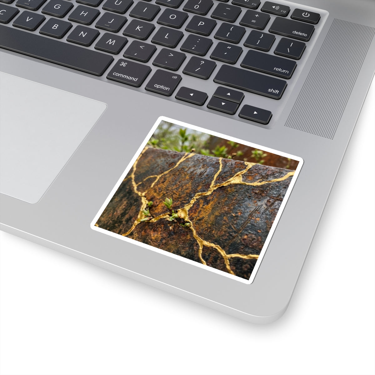 Kintsugi Rust Patina in Overcast | Gold Repair Sticker