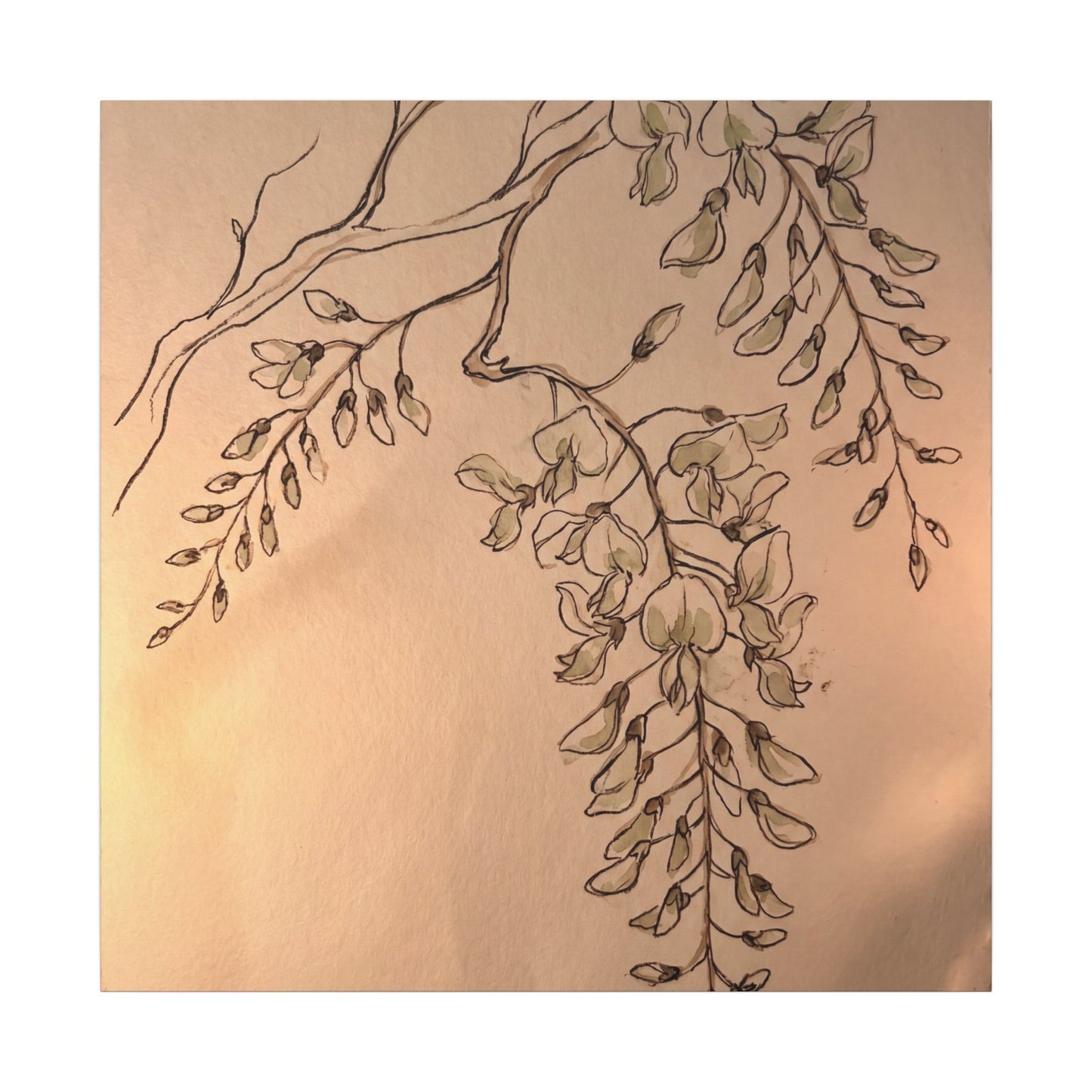 Japandi Wisteria in Candlelight | Minimal Line Canvas Art