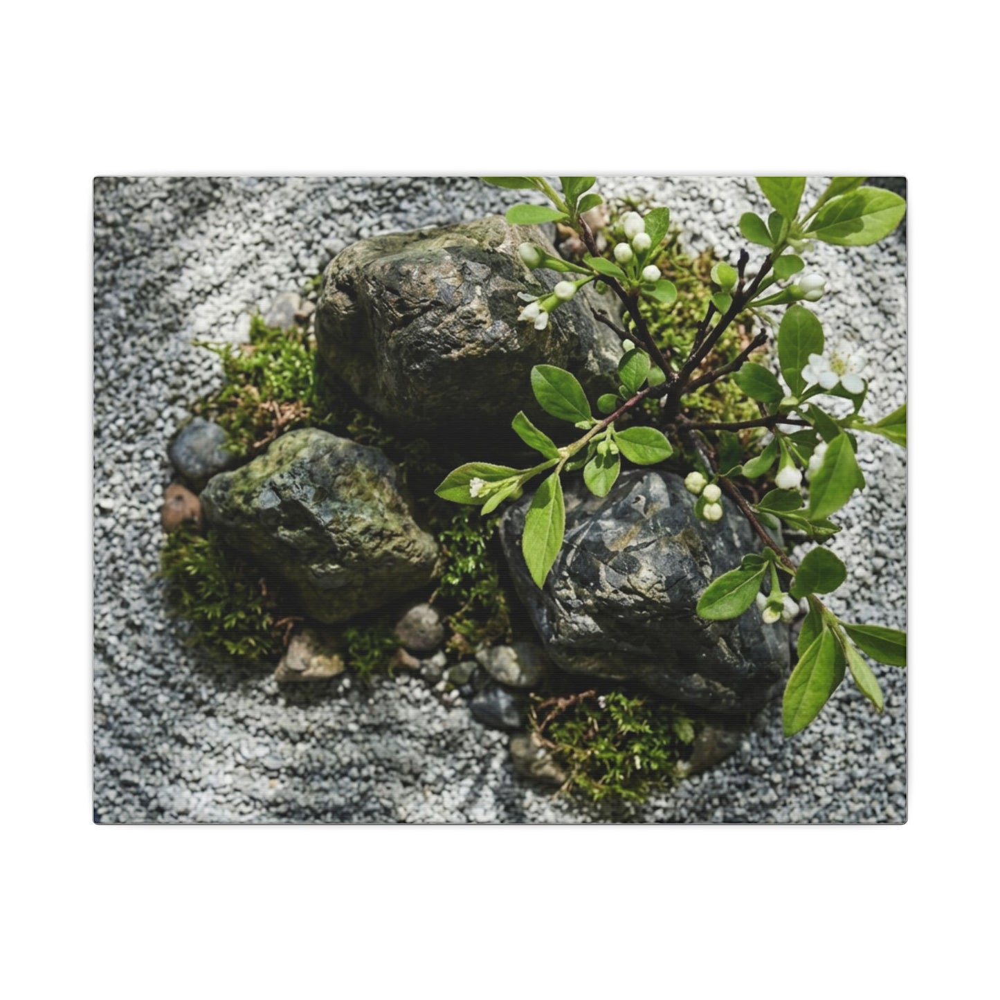 Zen Ceramic Bowl in Dappled | Karesansui Canvas Art