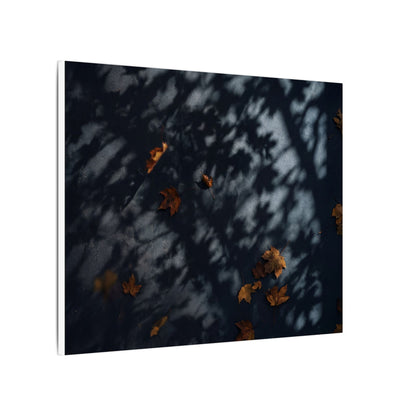 Autumn Shadow Play Shadow Zen Canvas Art | Atmospheric Decor