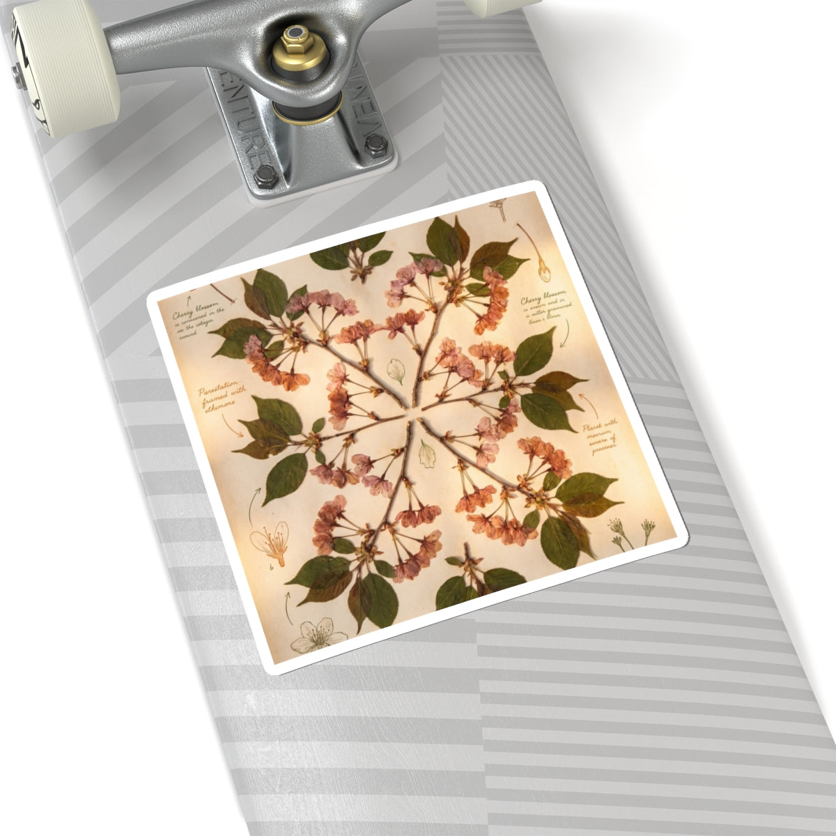 Summer Cherry Blossom Herbarium Sticker | Nostalgic Decor Art Print