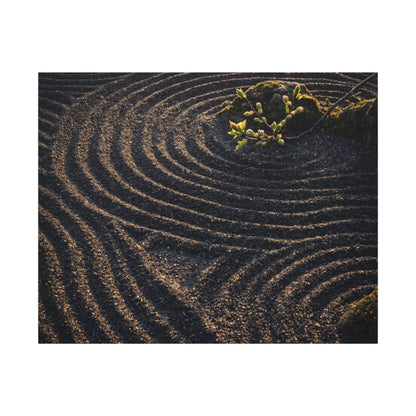 Spring Rock Garden Shadow Zen Canvas Art | Atmospheric Decor