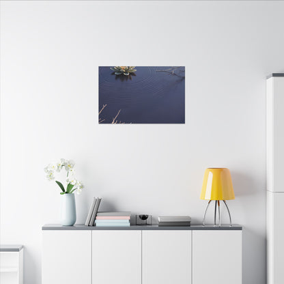 Lotus Flower Canvas Art | Winter Zen Karesansui Art