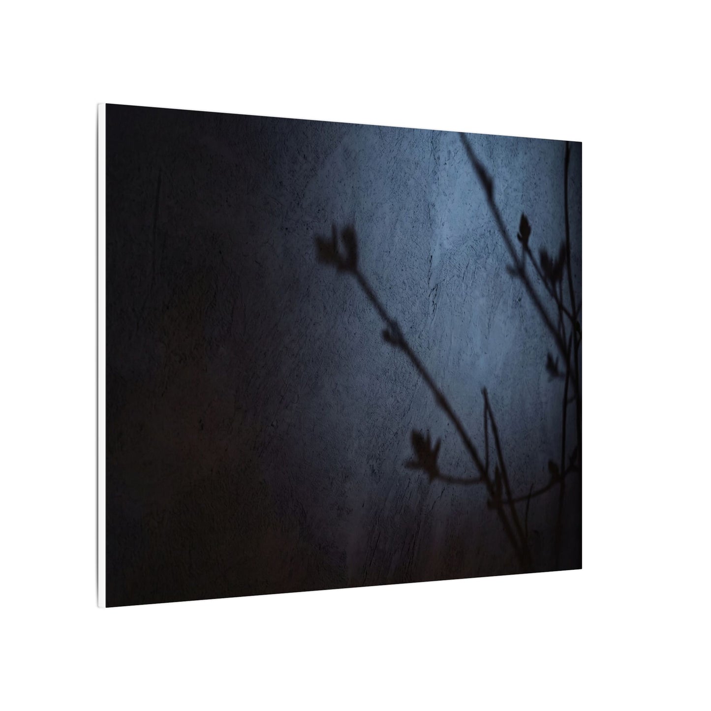 Shadow Play Canvas Art | Spring Dark Japandi Moody Minimal Art