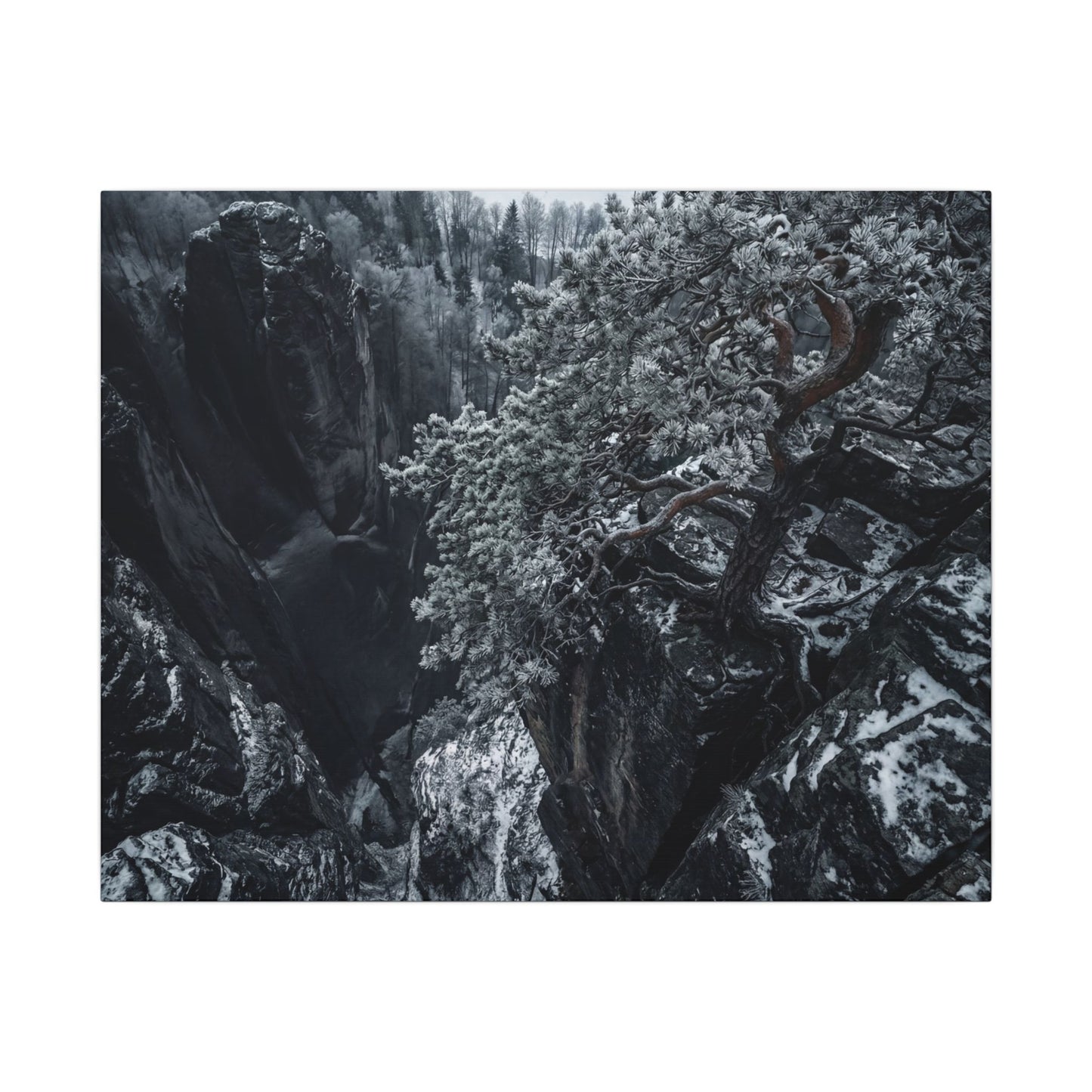 Dark Japandi Pine Tree in Dappled | Dark Texture Canvas Art