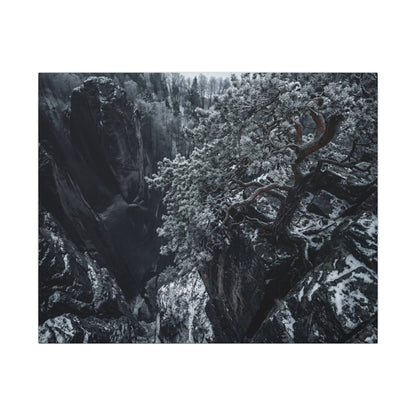 Dark Japandi Pine Tree in Dappled | Dark Texture Canvas Art
