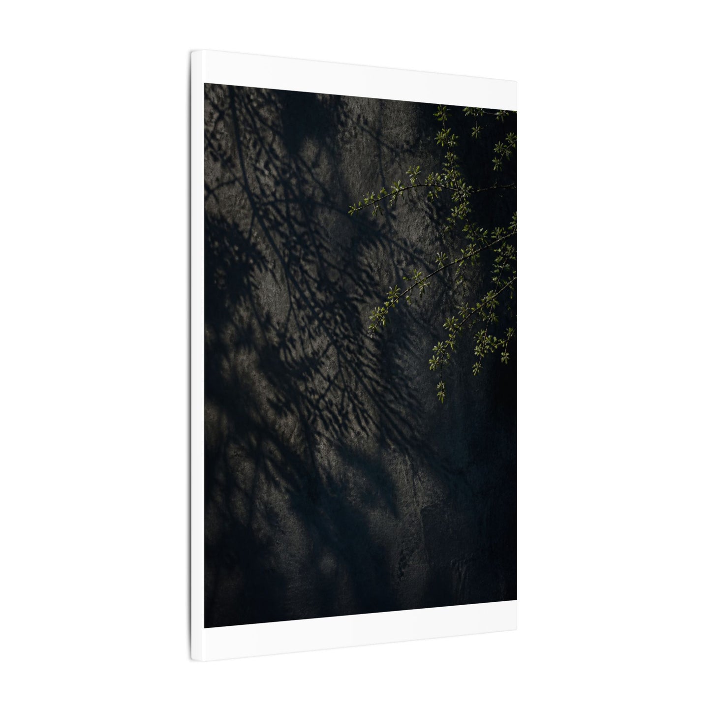 Overcast Shadow Play Canvas Art - Dark Japandi Seijaku