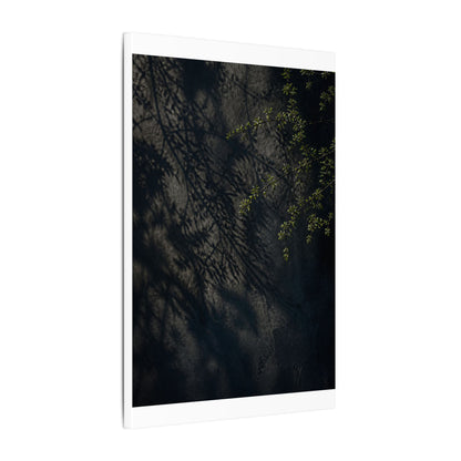 Overcast Shadow Play Canvas Art - Dark Japandi Seijaku