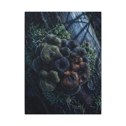 Wild Mushrooms Moody Minimal Canvas Art | Moody Dark Japandi Art