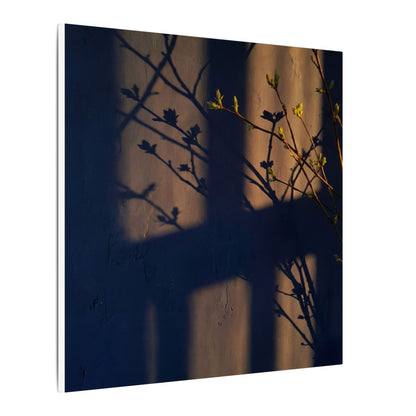 Shadow Play Canvas Art | Spring Dark Japandi Shadow Zen Art