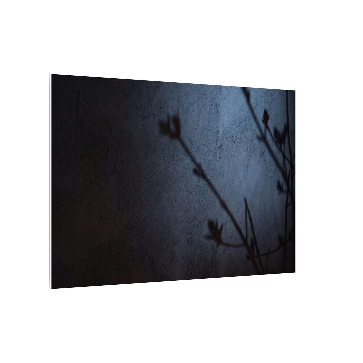 Shadow Play Canvas Art | Spring Dark Japandi Moody Minimal Art