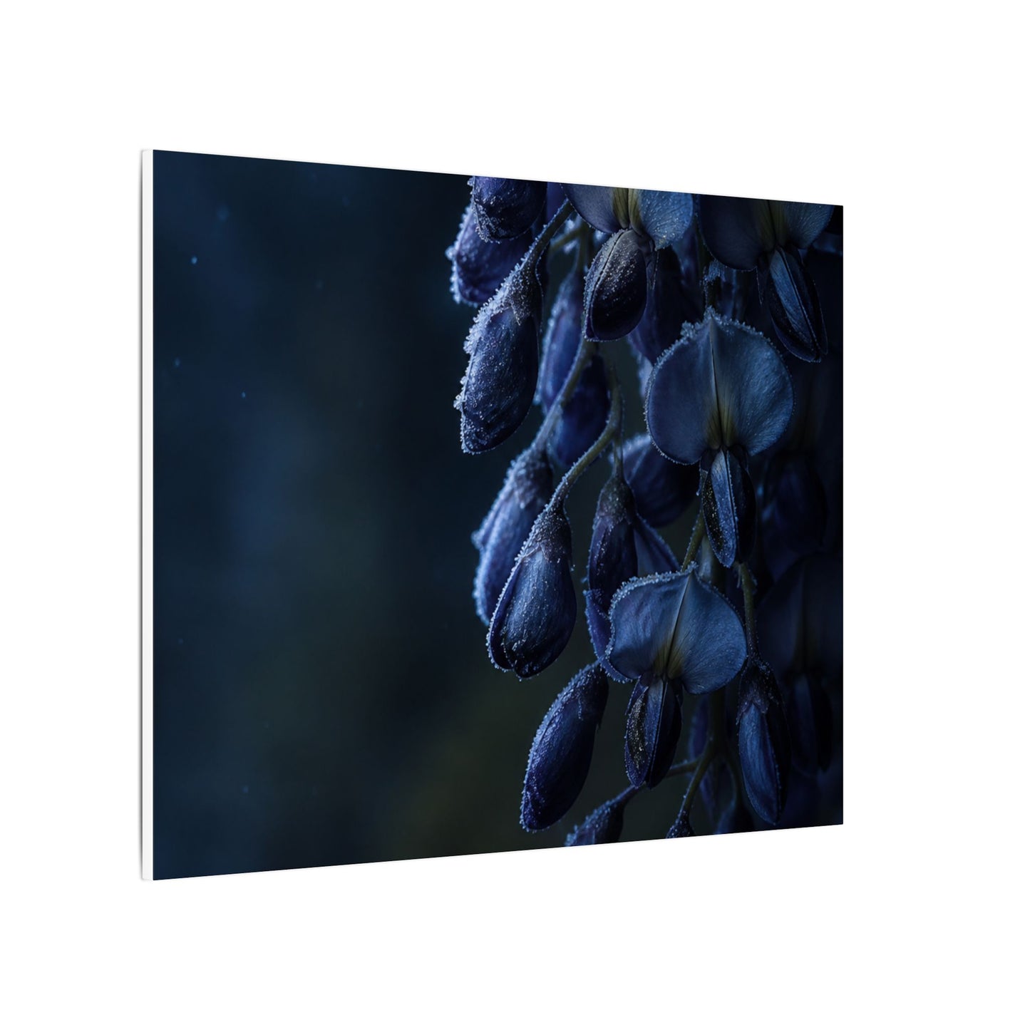Winter Wisteria Shadow Zen Canvas Art | Atmospheric Decor