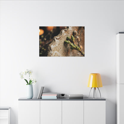 Overcast Ceramic Bowl Canvas Art - Japandi Ma