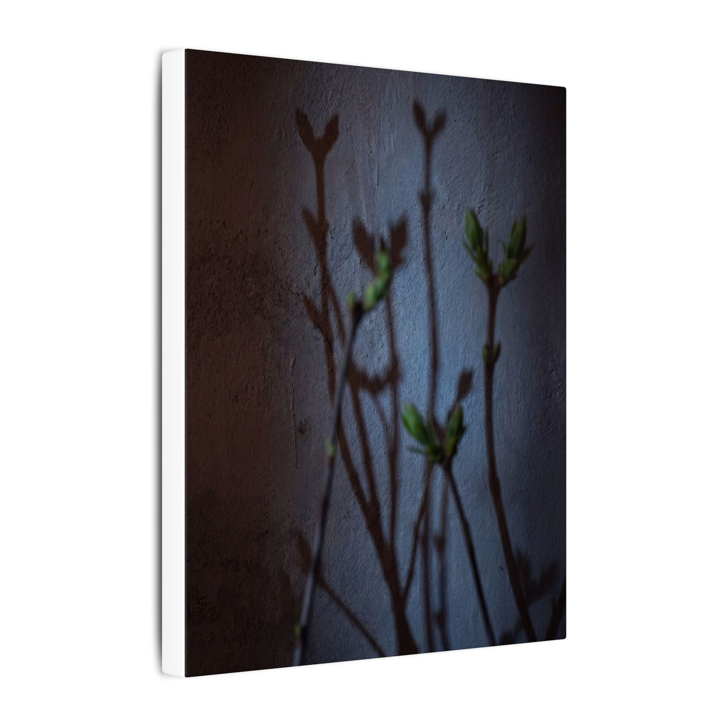 Shadow Play Spring Canvas Art | Dark Japandi Sophisticated Design