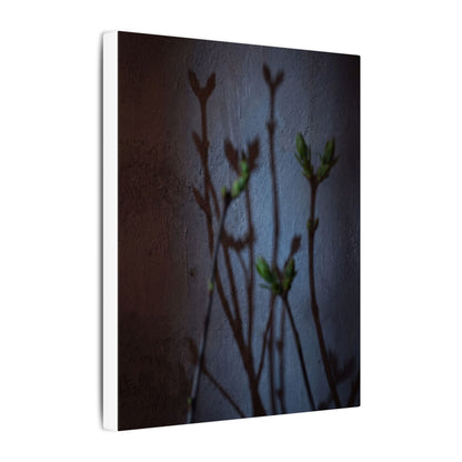 Shadow Play Spring Canvas Art | Dark Japandi Sophisticated Design