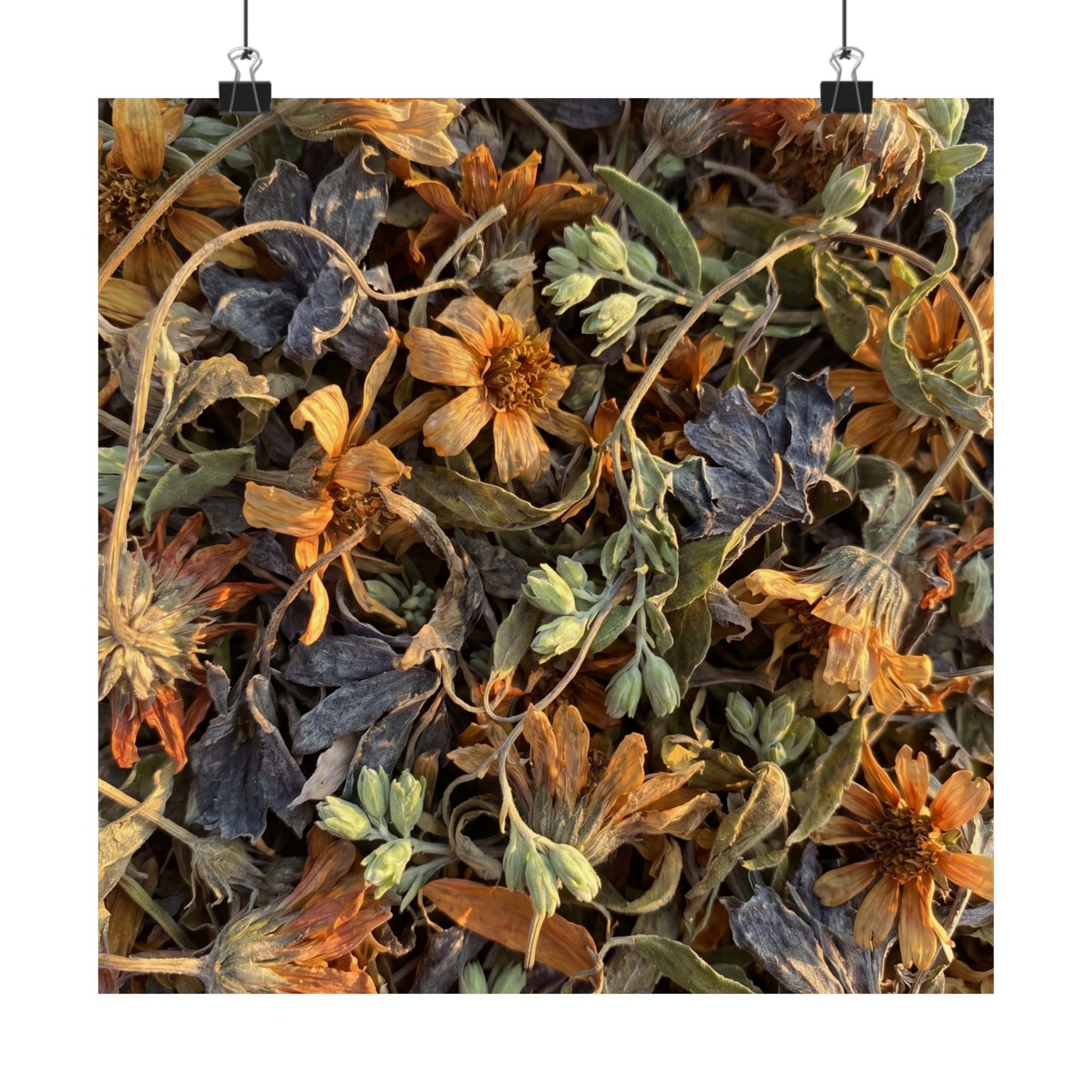 Spring Dried Flowers Japanese Pattern Wall Art Print | Warm Decor Art Print
