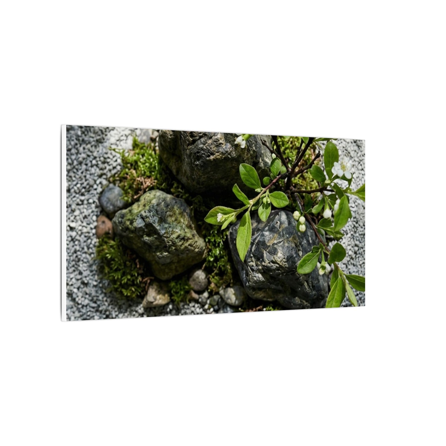 Zen Ceramic Bowl in Dappled | Karesansui Canvas Art