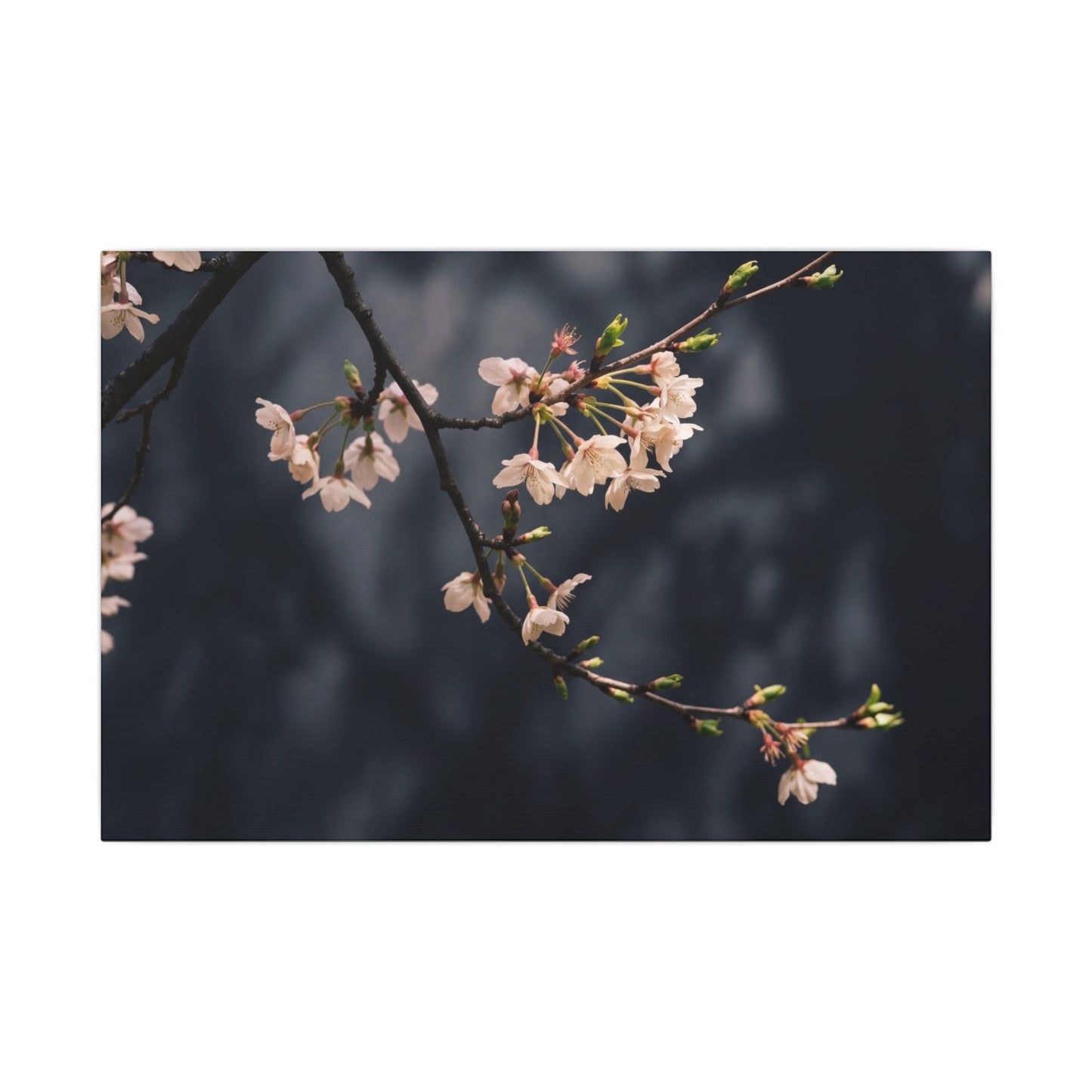 Cherry Blossom Moody Minimal Canvas Art | Bold Dark Japandi Art