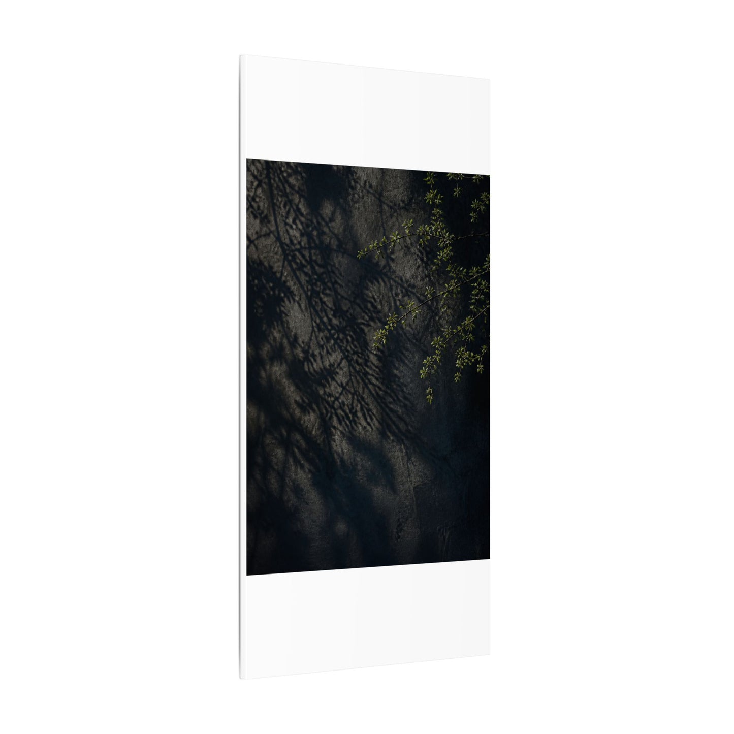 Overcast Shadow Play Canvas Art - Dark Japandi Seijaku