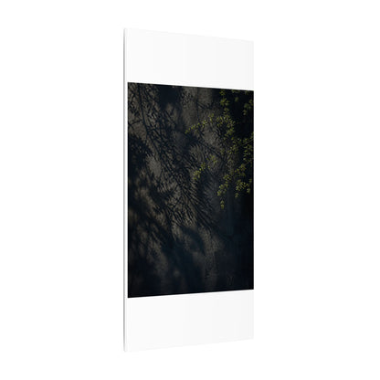 Overcast Shadow Play Canvas Art - Dark Japandi Seijaku