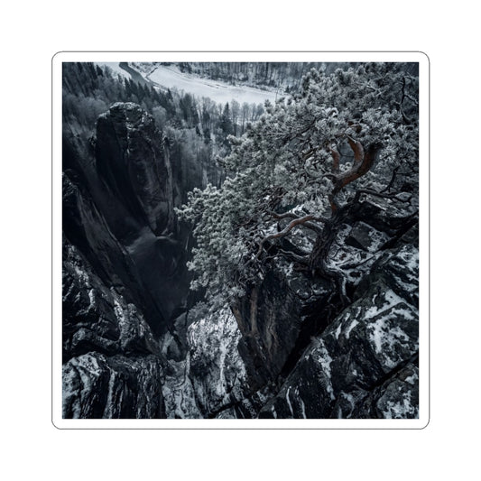 Dappled Pine Tree Sticker - Dark Japandi Seijaku Art Print