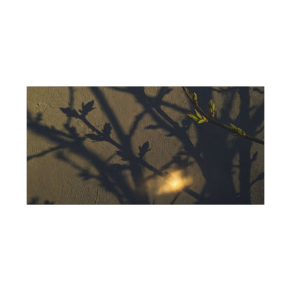 Bold Shadow Play Canvas Art - Moody Minimal Dark Japandi