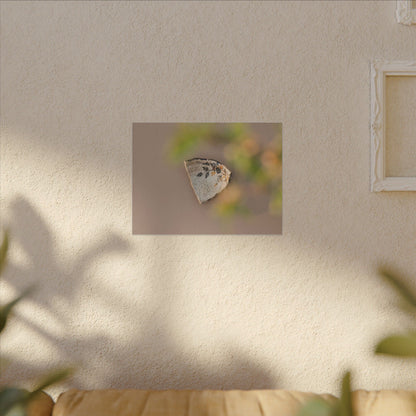 Ceramic Bowl Canvas Art | Spring Japandi Japanese Pattern Art