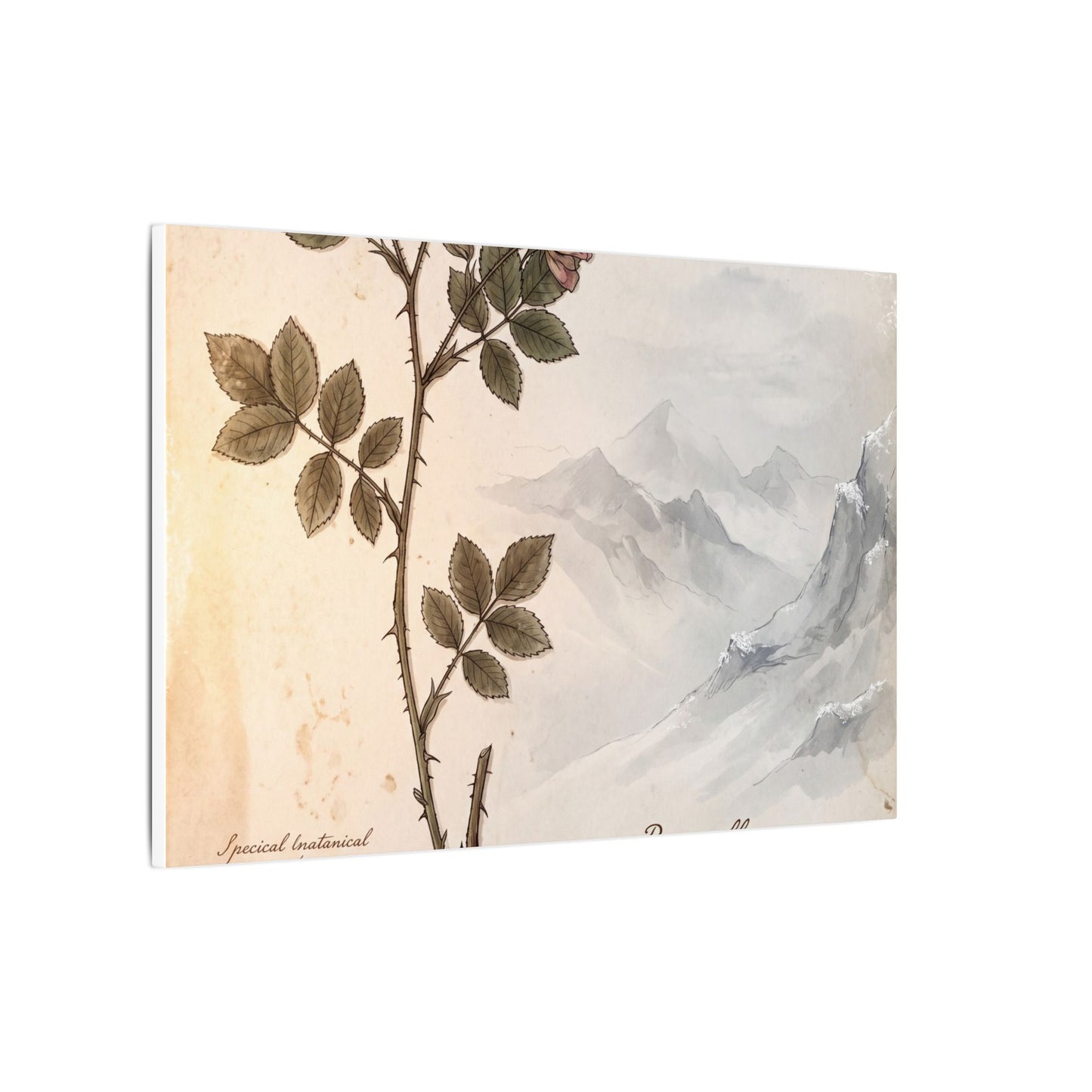 Winter Mountain Mist Herbarium Canvas Art | Earthy Decor