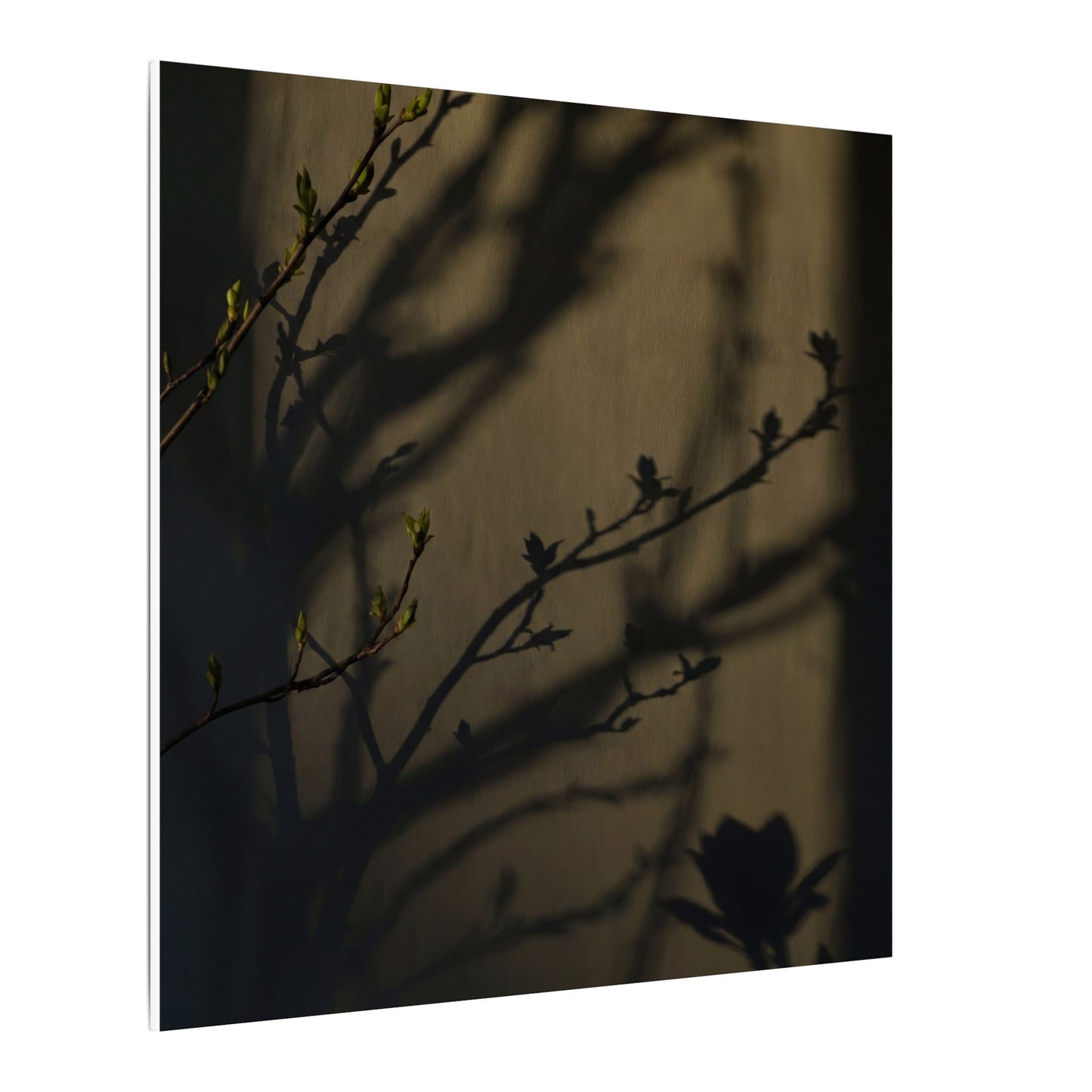 Seijaku Shadow Play Canvas Art - Dark Japandi Charcoal Ink