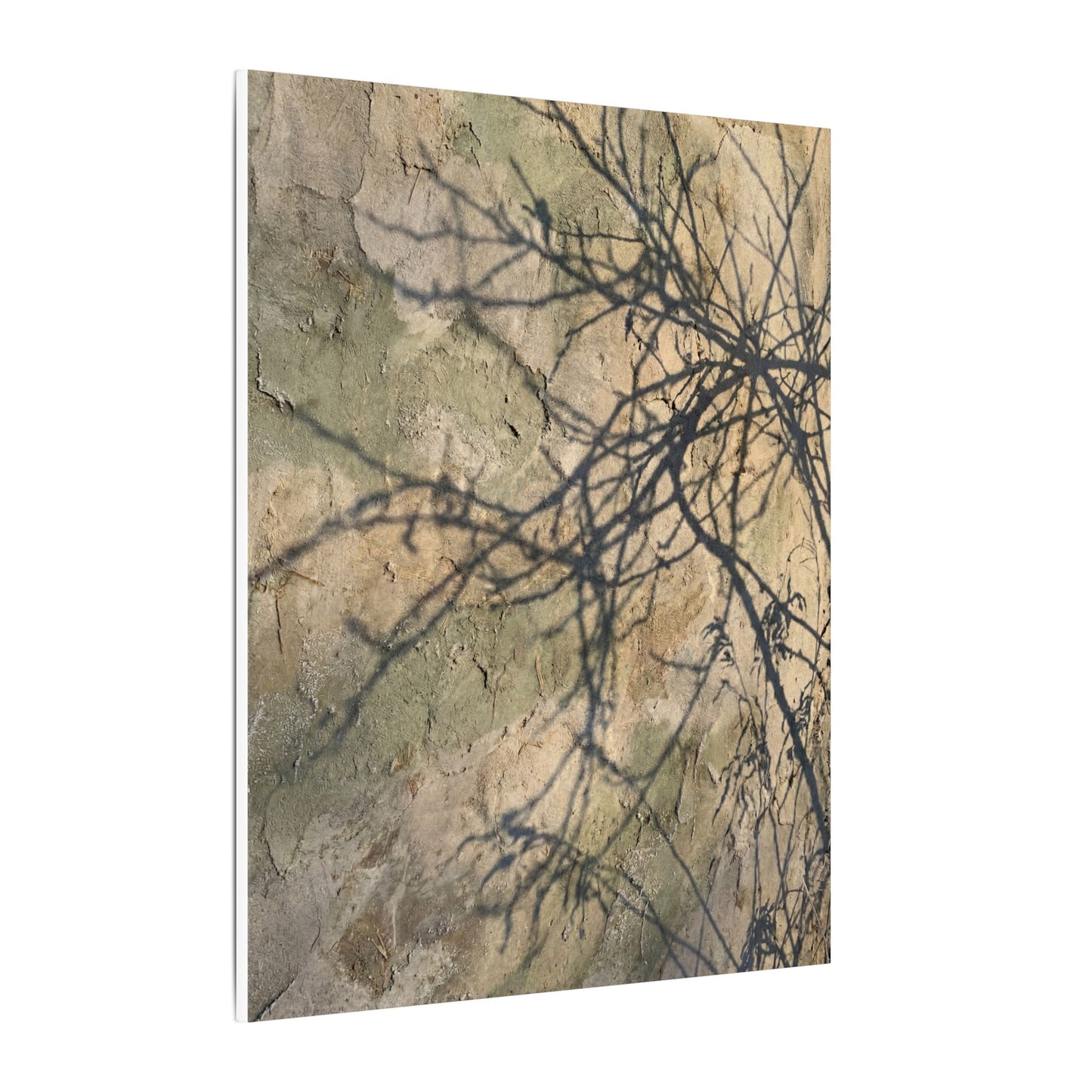 Japandi Shadow Play in Golden Hour | Texture Canvas Art