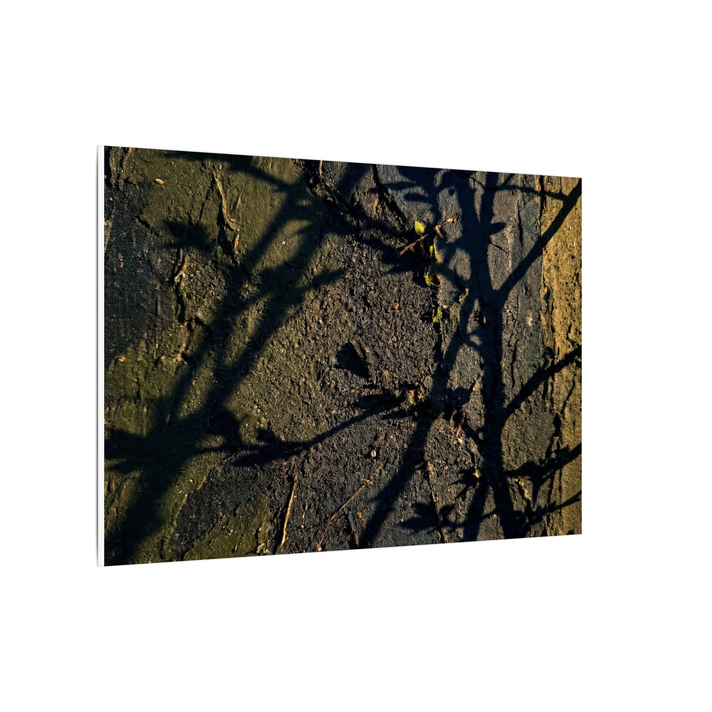 Kanso Shadow Play Canvas Art - Dark Japandi Dark Texture
