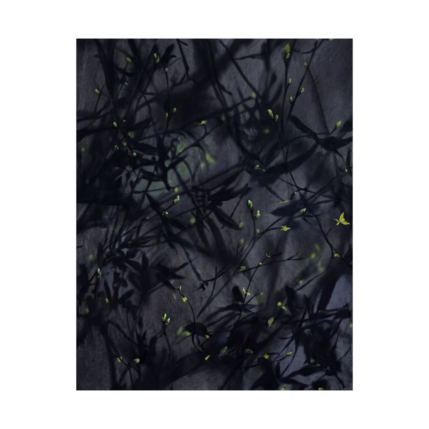 Atmospheric Shadow Play Wall Art Print - Shadow Zen Dark Japandi