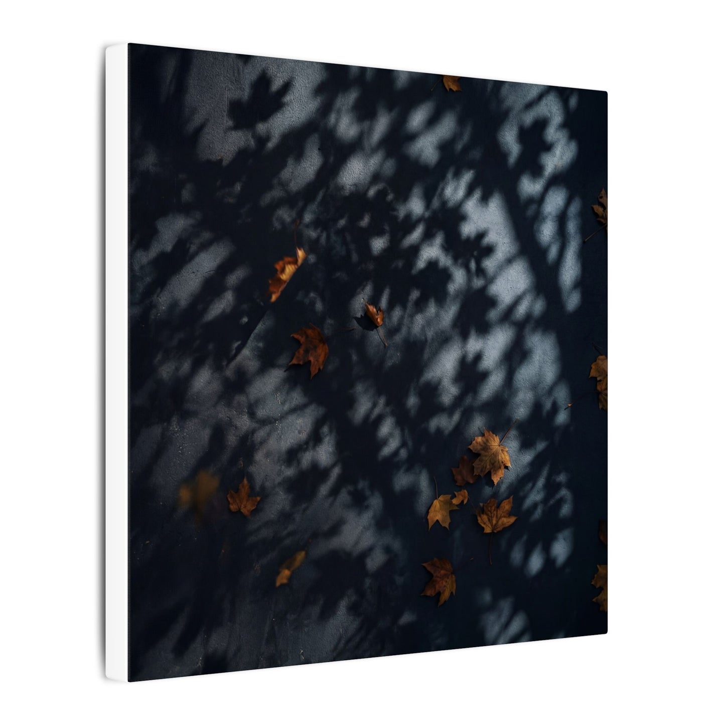 Autumn Shadow Play Shadow Zen Canvas Art | Atmospheric Decor