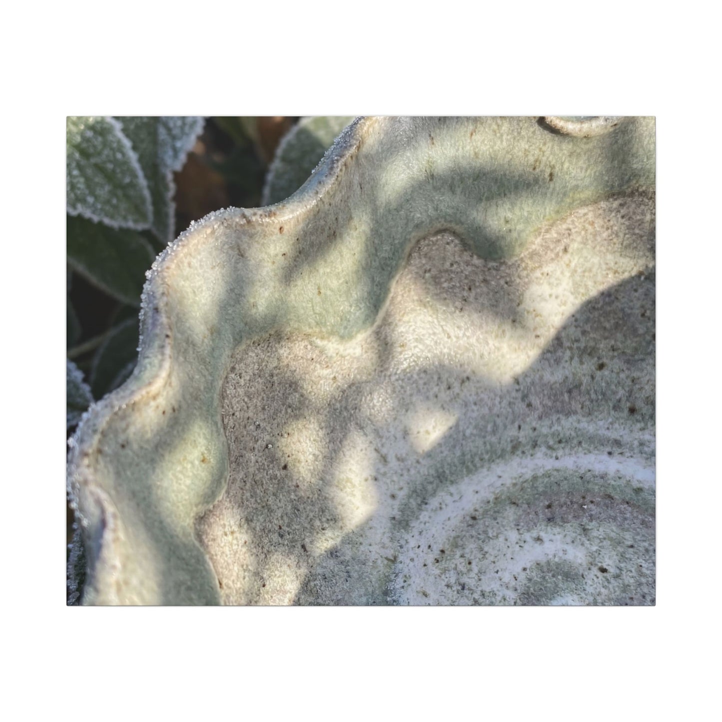 Dappled Ceramic Bowl Canvas Art - Japandi Seijaku