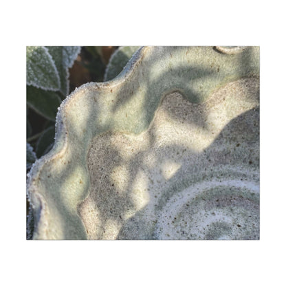 Dappled Ceramic Bowl Canvas Art - Japandi Seijaku