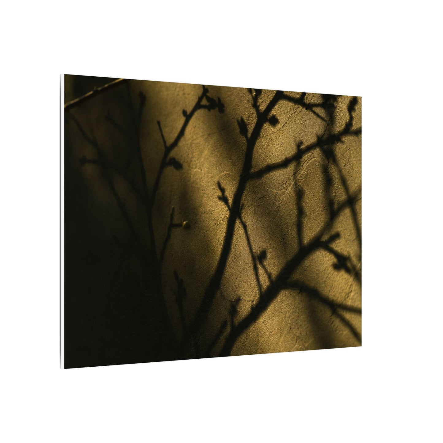 Golden Hour Shadow Play Canvas Art - Dark Japandi Seijaku