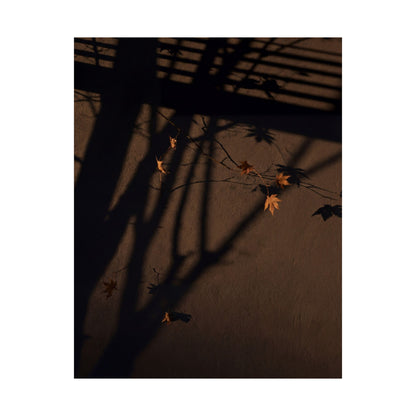 Autumn Shadow Play Shadow Zen Wall Art Print | Sophisticated Decor