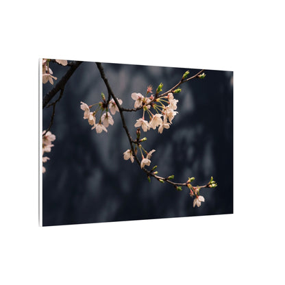 Cherry Blossom Moody Minimal Canvas Art | Bold Dark Japandi Art