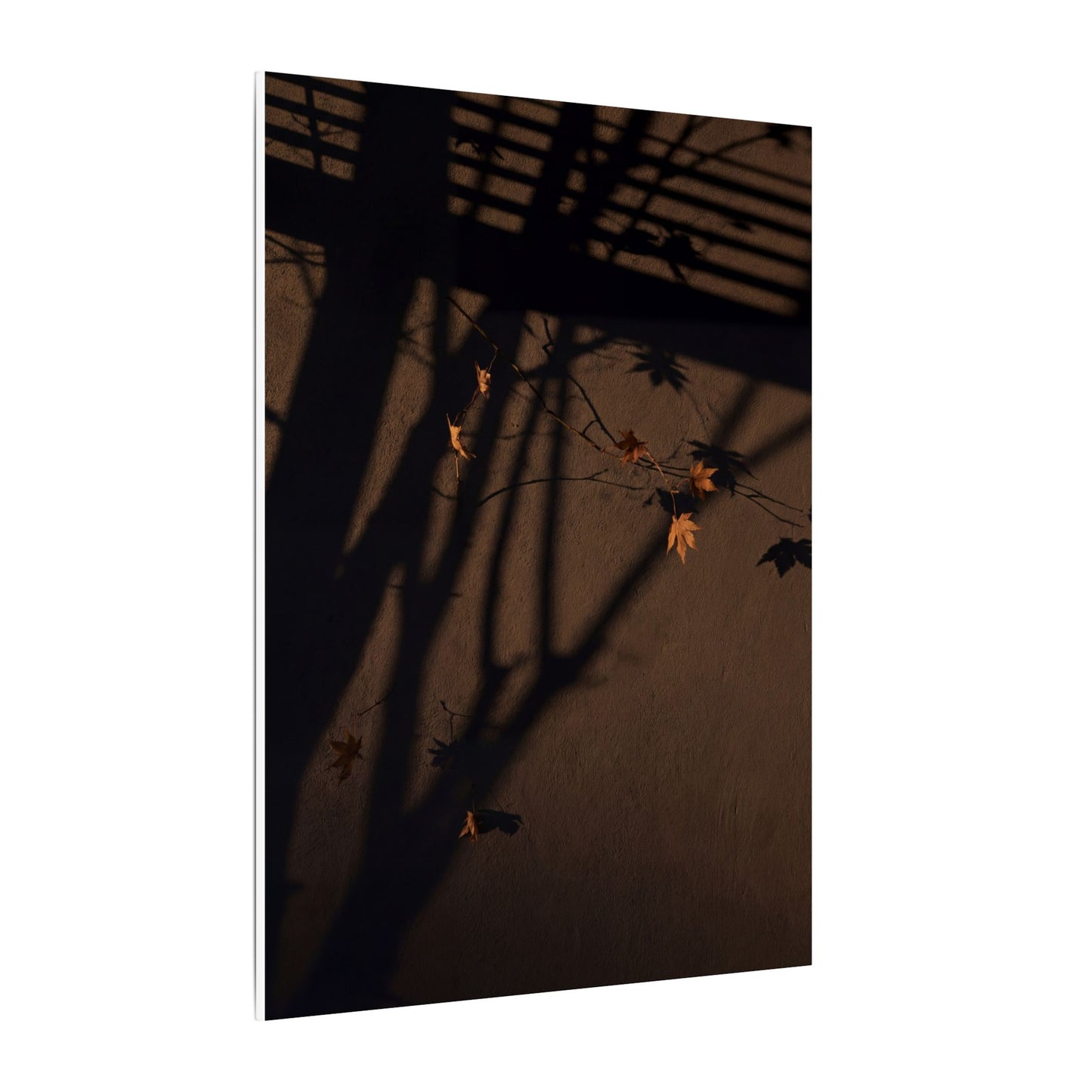Shadow Play Autumn Canvas Art | Dark Japandi Luxurious Design