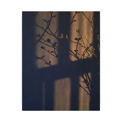 Shadow Play Canvas Art | Spring Dark Japandi Shadow Zen Art