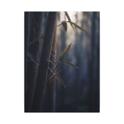 Dark Japandi Bamboo Grove in Dawn | Moody Minimal Canvas Art