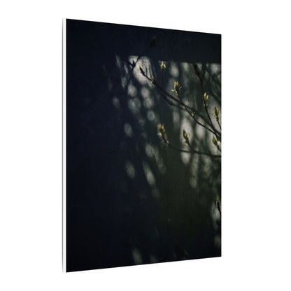 Dark Japandi Shoji Screen in Dappled | Moody Minimal Canvas Art