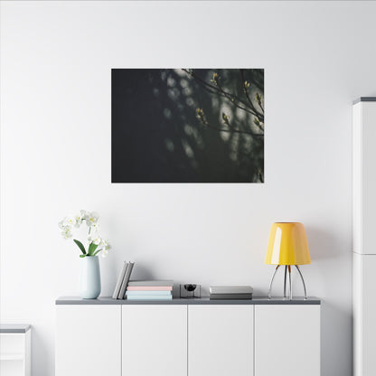 Dark Japandi Shoji Screen in Dappled | Moody Minimal Canvas Art