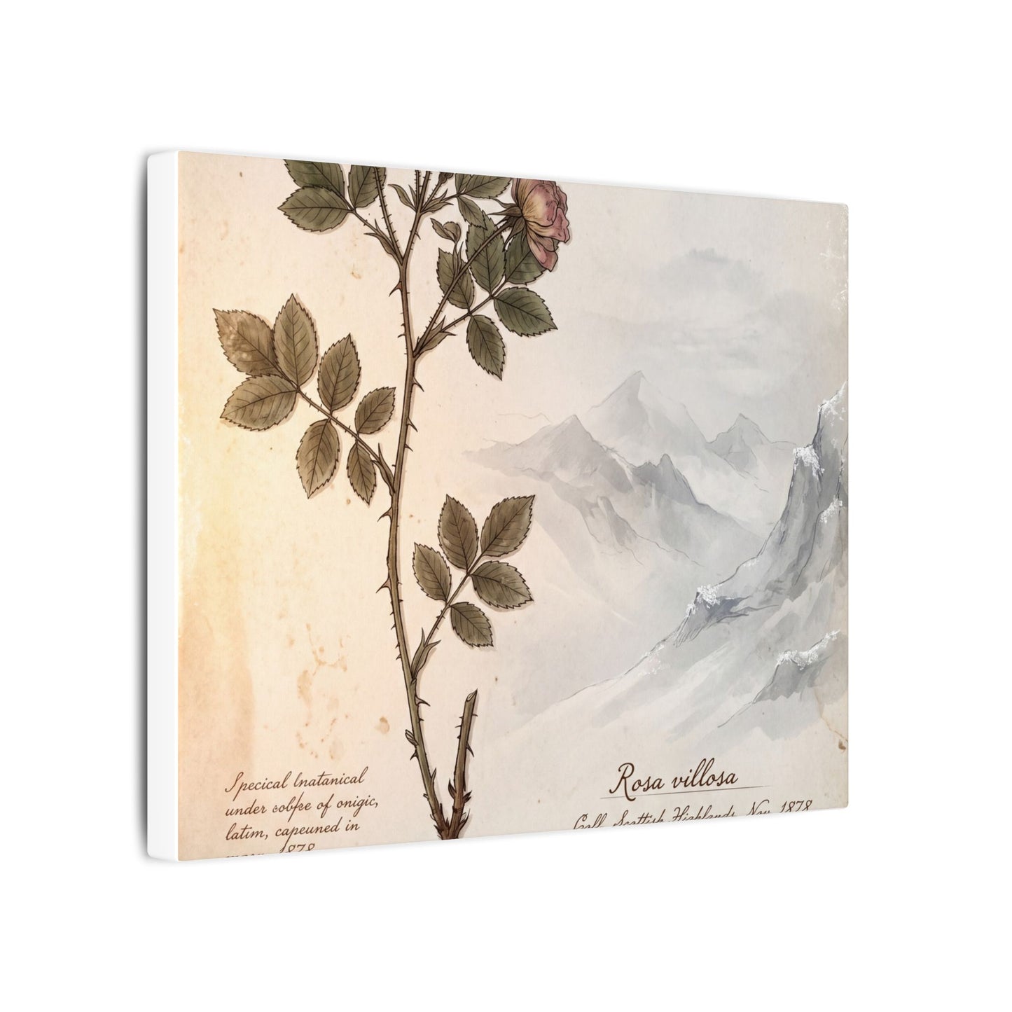 Winter Mountain Mist Herbarium Canvas Art | Earthy Decor