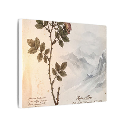 Winter Mountain Mist Herbarium Canvas Art | Earthy Decor